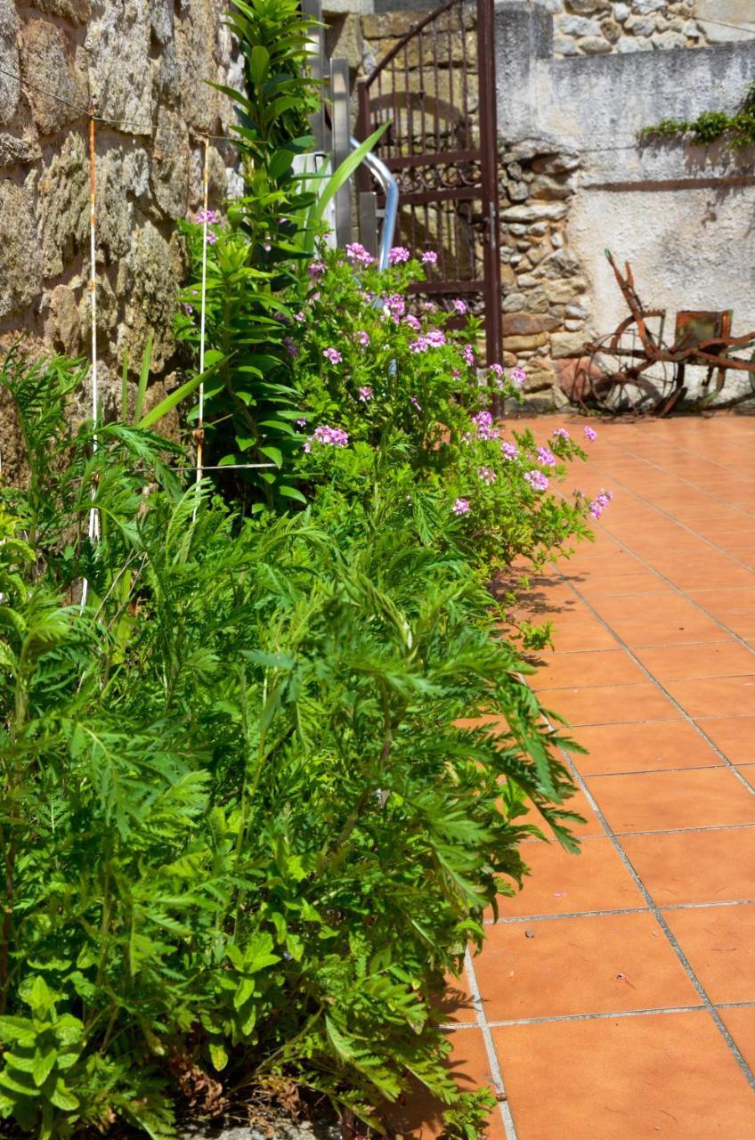 Sursum Corda Hotel Ribeira Buitenkant foto